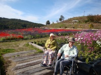 H26世羅ゆり園04