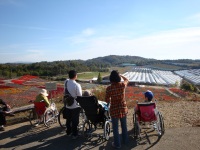 H26世羅ゆり園09